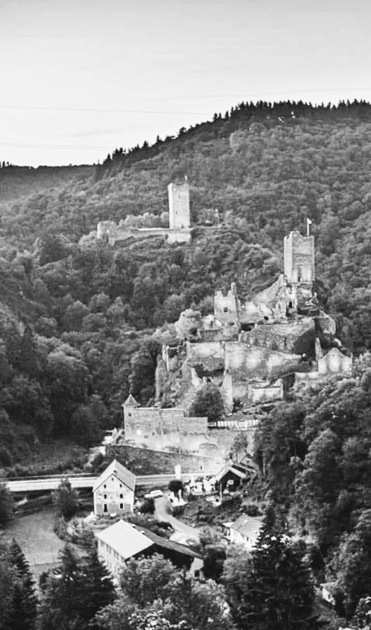 Herberg Die Alte Schleuse Manderscheid Exterior foto