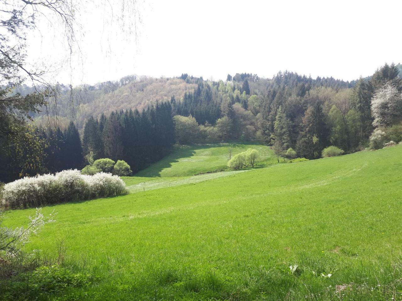 Herberg Die Alte Schleuse Manderscheid Exterior foto